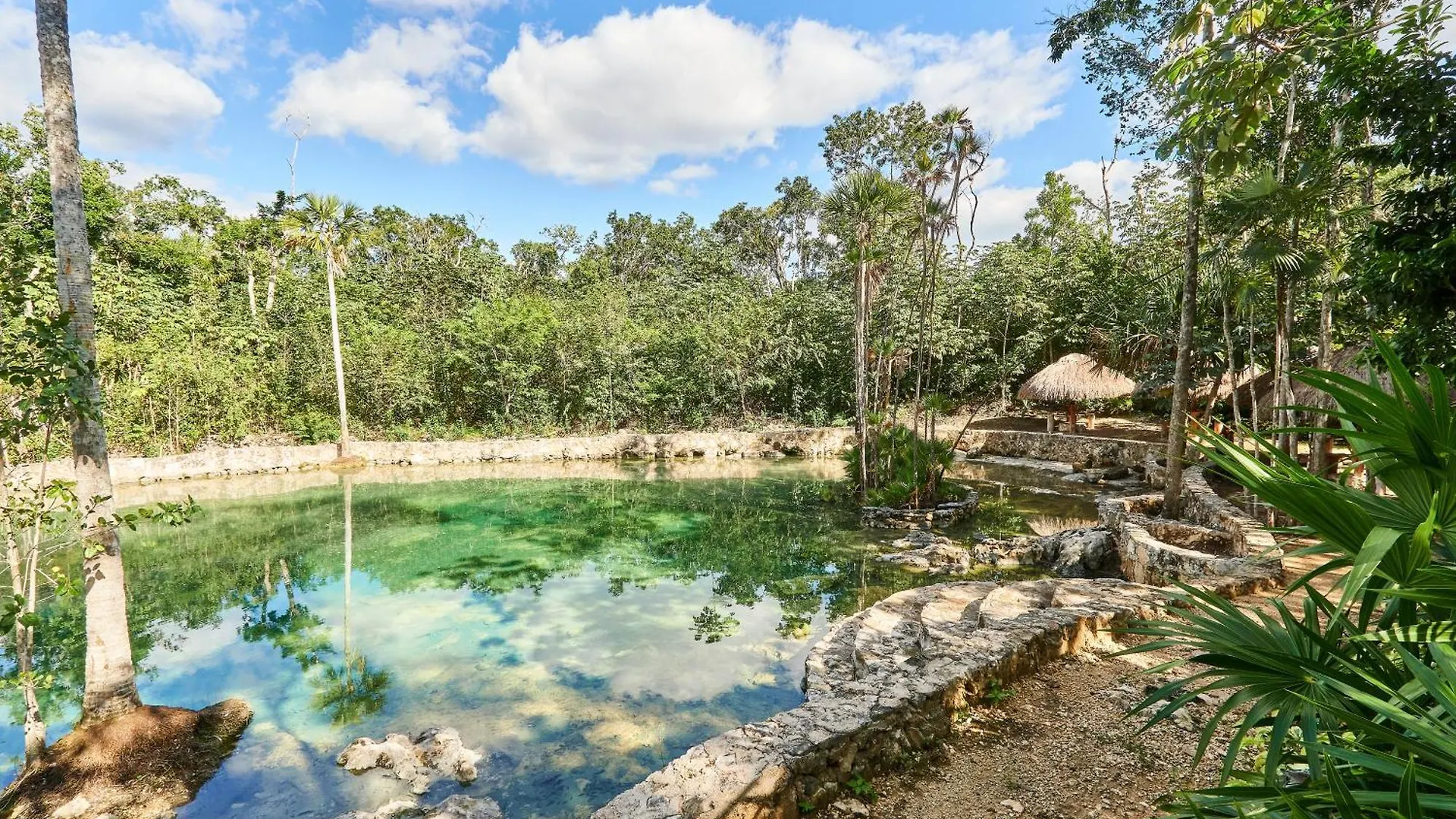 Villa Tortuga Lux 4 Bdr Big Garden*Pool *Cenote Tulum